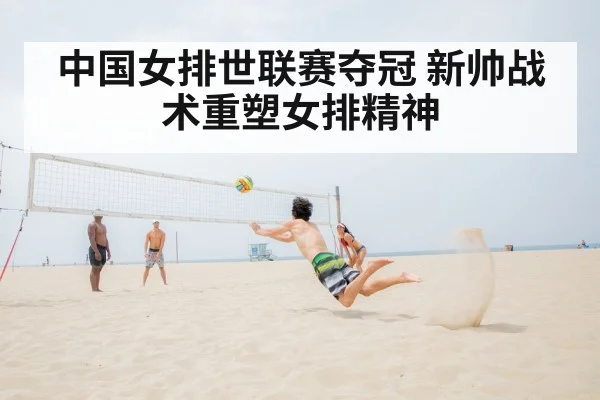 volleyball net action